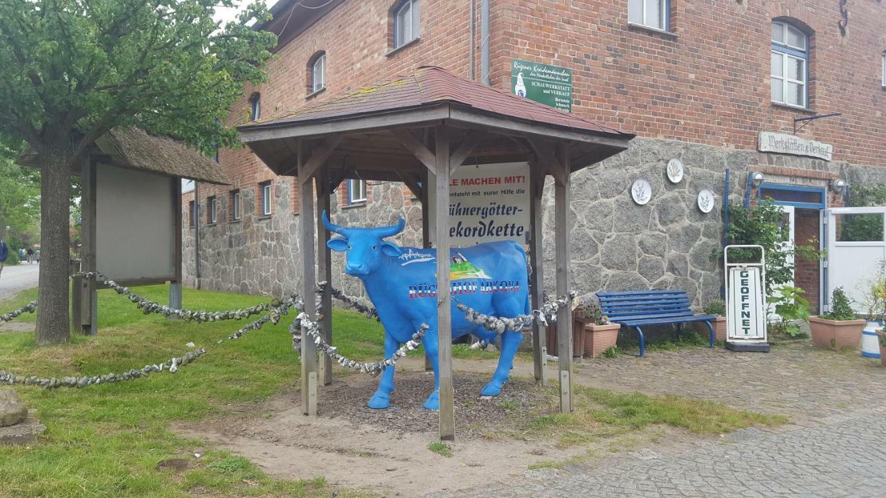 Ferienwohnung Finja In Putgarten, Kap Arkona Ruegen Ngoại thất bức ảnh