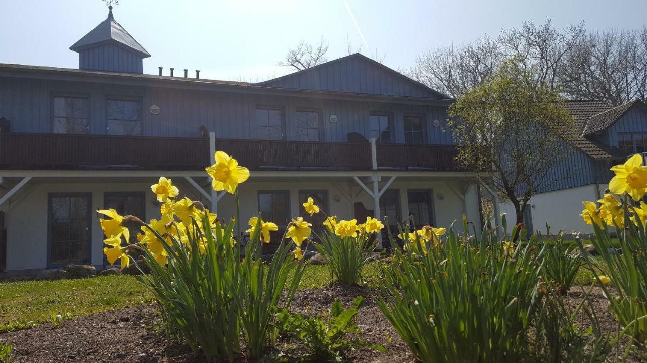 Ferienwohnung Finja In Putgarten, Kap Arkona Ruegen Ngoại thất bức ảnh